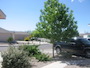View from the front of the home to the street